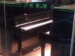 -柏斯音乐艺术中心·钢琴·吉他(世纪金源店)