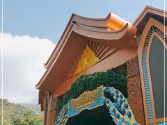 -西双版纳原始森林公园