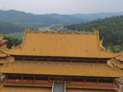 -东莞市大岭山森林公园