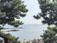 -八大关景区