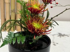 -杭州植物园