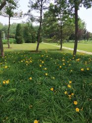 -大望京儿童游乐场