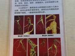 -广东中医药博物馆