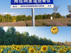 -同里国家湿地公园