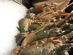 -仙桐吉宴铁板烧·精致料理