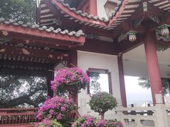 -乌山风景区