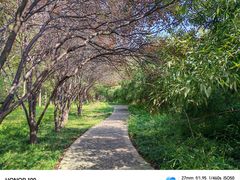 -洛阳市隋唐城遗址植物园
