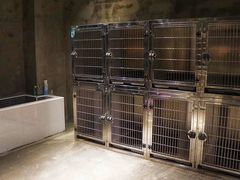 -PETKIT 小佩宠物·低压洗护·美容·寄养(安远店)