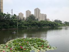 -前关湿地公园