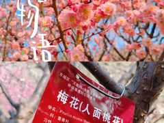 -北京明城墙遗址公园
