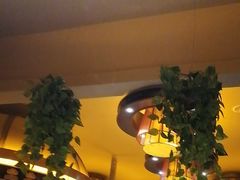 -蒙古人烤羊大师·绿野餐厅(工农大路店)