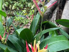 -深圳国际园林花卉博览园