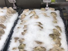 扇贝-盒马鲜生(曜一城店)