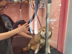 -FAELING PETS美天灵宠物(合生汇店)