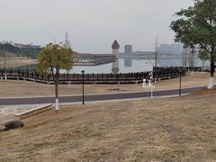 -九龙湖公园