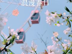 -顾村公园