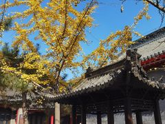 -慈恩寺