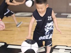 -梦想之巅·青少年篮球·羽毛球·培训中心(西站店)