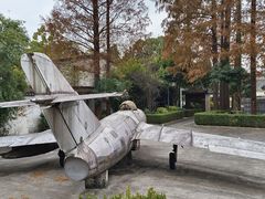 -枫泾古镇-人民公社旧址