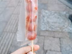 无核山楂糖葫芦-和禄德冰糖葫芦