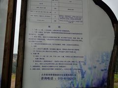 -紫海香堤香草艺术庄园