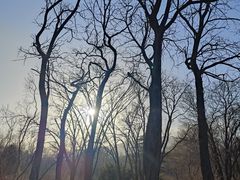 -国家植物园南园