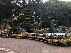 -汇龙潭