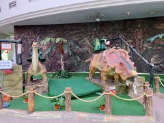 -陕西自然博物馆