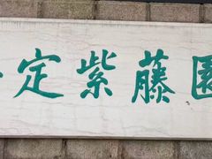 -嘉定紫藤园
