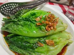 罗马生菜-西贝(枫蓝国际购物中心店)