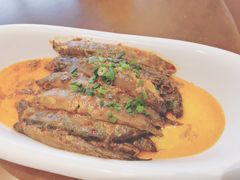 -燕郊烧鸽子(广安路店)