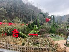 -黔灵山公园