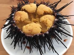 -海胆小馆(东北水饺·春柳店)