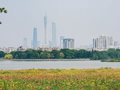 -海珠湖公园