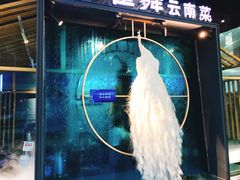 -雀舞云南菜(乐客城店)