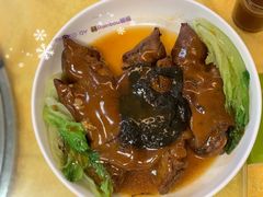 -鸽王世家(东华东路店)
