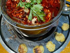 -重庆乌鱼庄·龙滋鲜(青羊大道店)