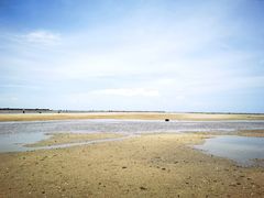 -北海金海湾红树林生态旅游区