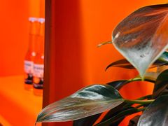 -798餐厅(任丘路店)