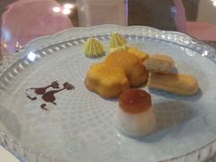 -三花喵·撸猫购宠·宠物生活馆(虹桥南丰城店)