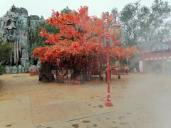 -郑州方特梦幻王国