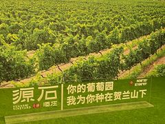 -源石酒庄