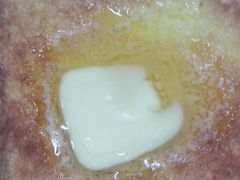 -华星冰室(湾仔店)