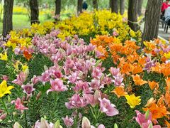 -长春公园(普阳街道)