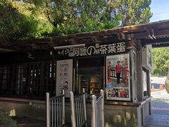 -金盆阿嬷香菇茶叶蛋(玄光店)