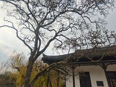 -水绘园
