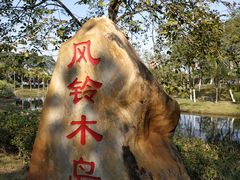 -映月湖公园