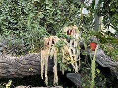 -国家植物园南园