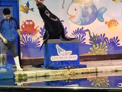 -太平洋海底世界