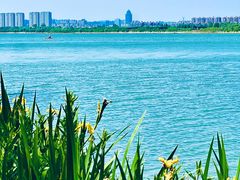 -金沙湖旅游度假区